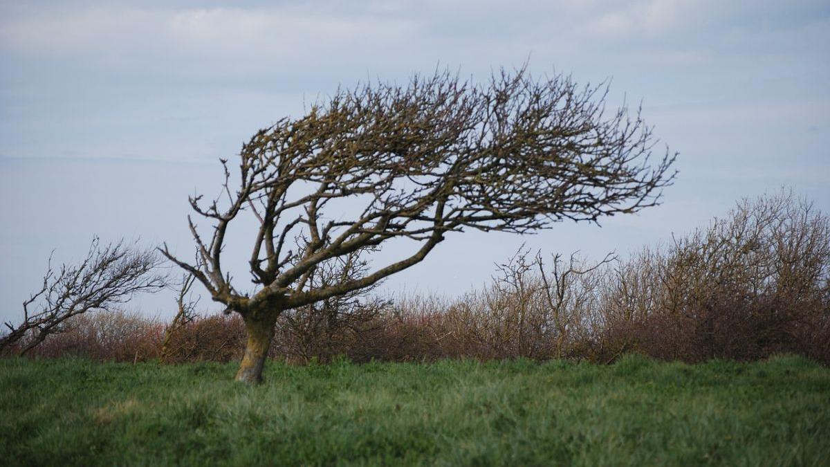 avertizare anm vreme rea vijelie vant puternic