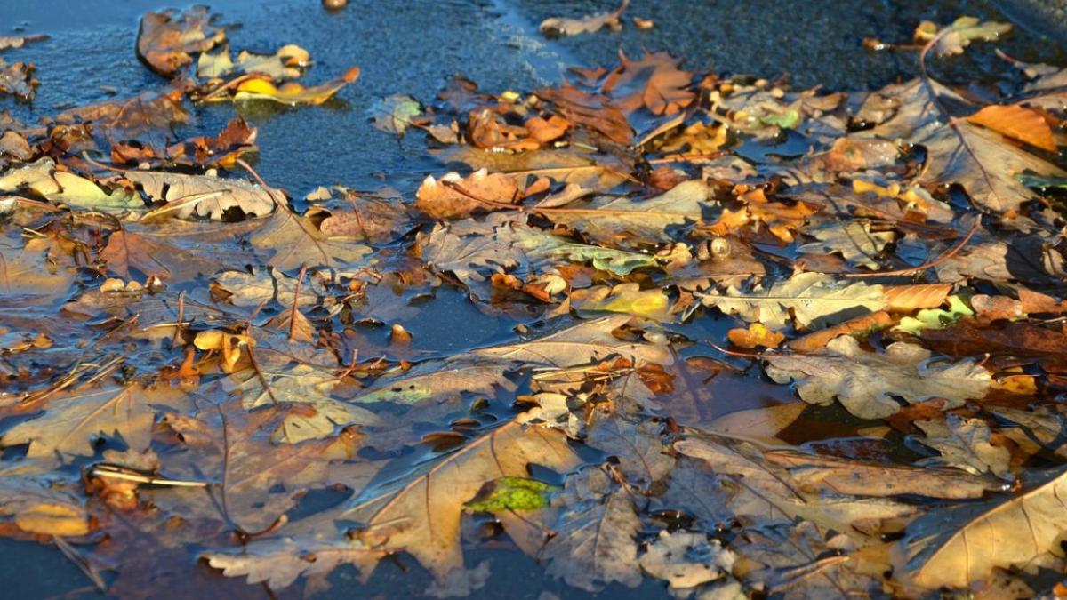 prognoza meteo vremea 4 17 septembrie 2023