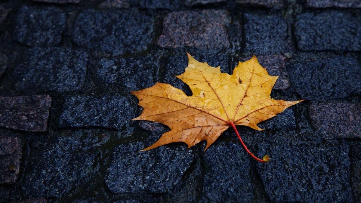 prognoza meteo vremea septembrie