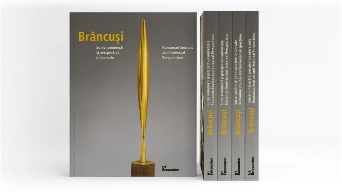 timisoara bilete expozitie brancuri