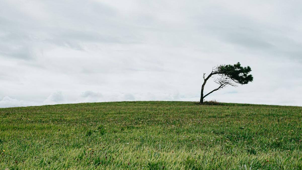 avertizare meteo anm vant puternic