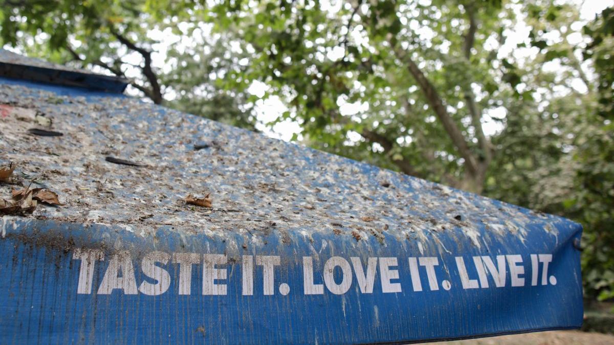 parc herastrau arata abandonat peluze arse zone iarba pamant banci rupte