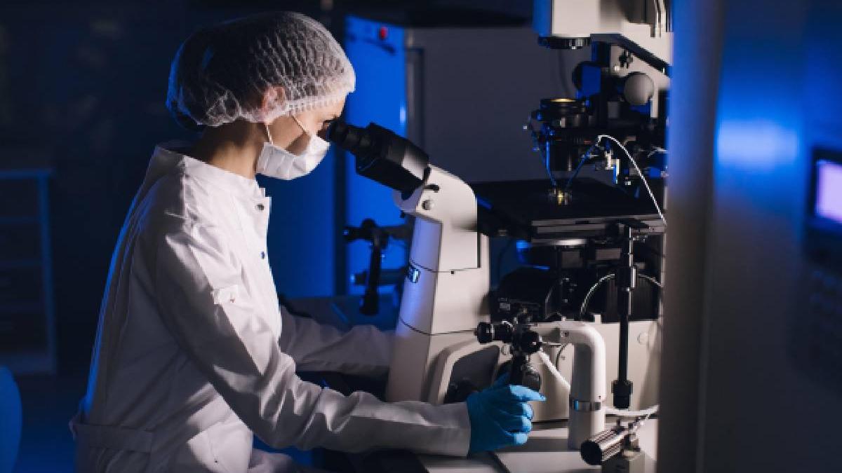 celule stem folosite cercetatori creste laborator model embrion uman