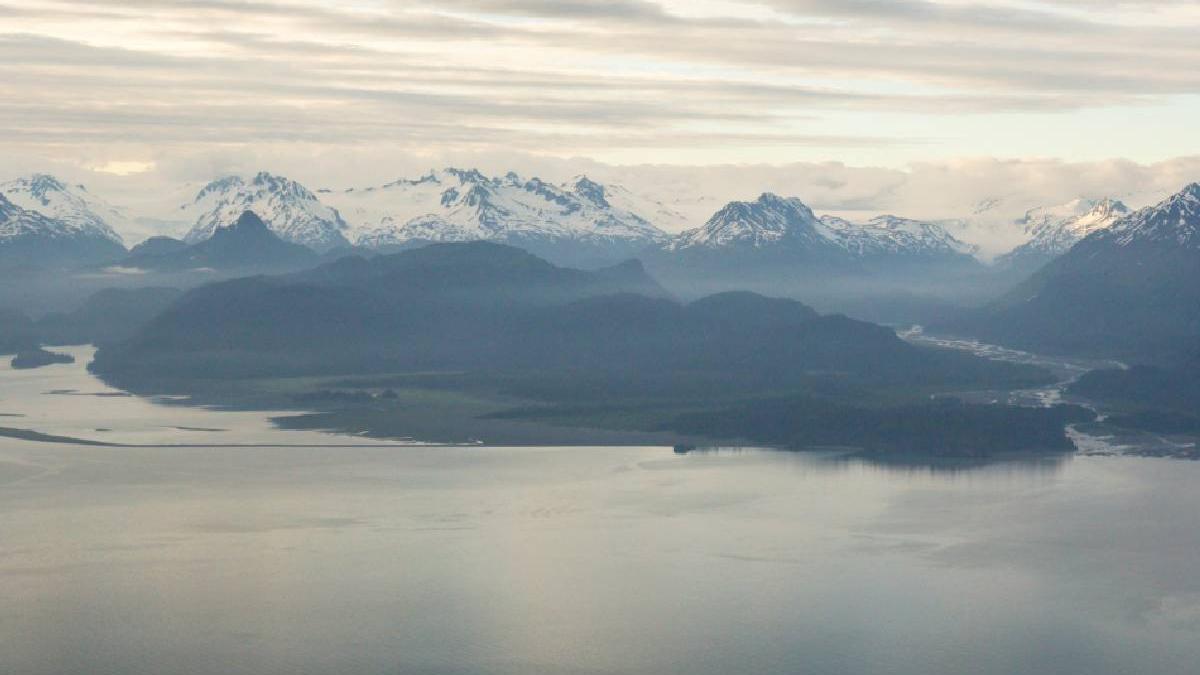 descoperire invaluita mister oameni stiinta infiorati ou auriu gasit golf alaska