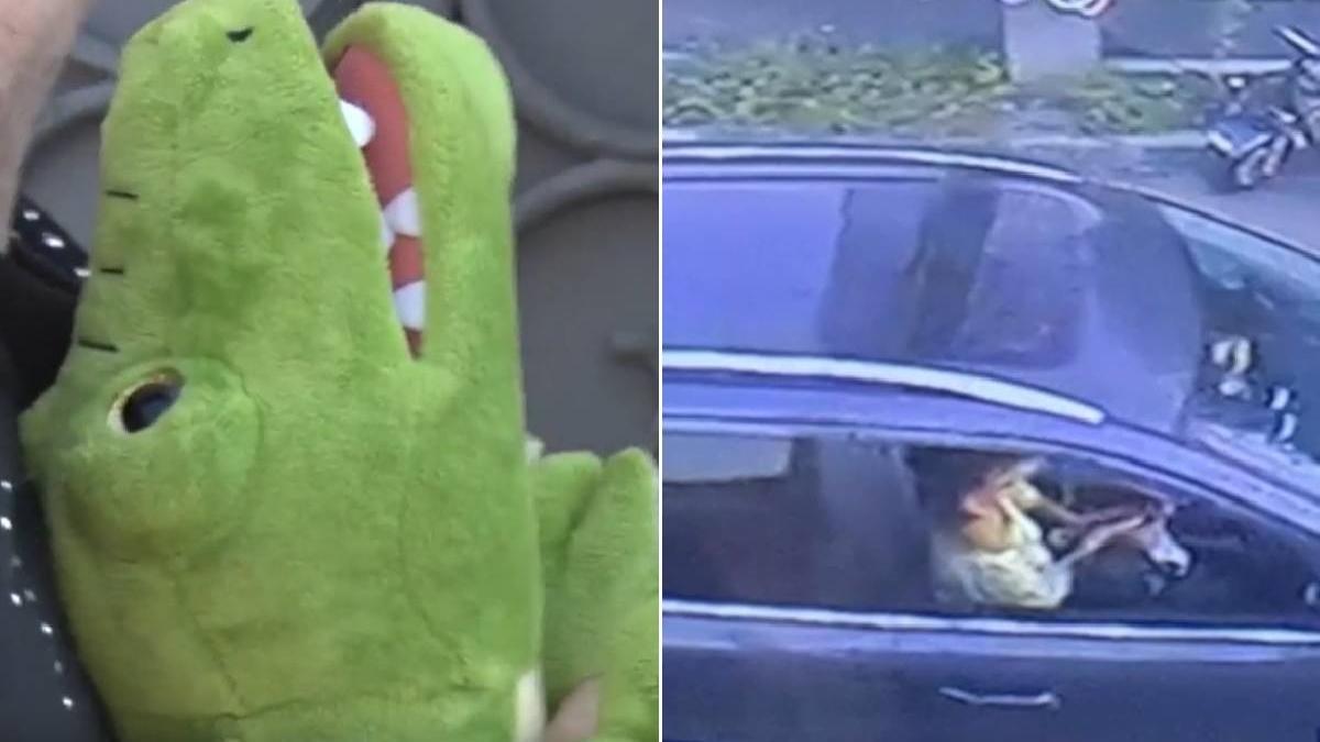 rasturnare de situatie accident braila sofer drogat fara permis ancheta politie