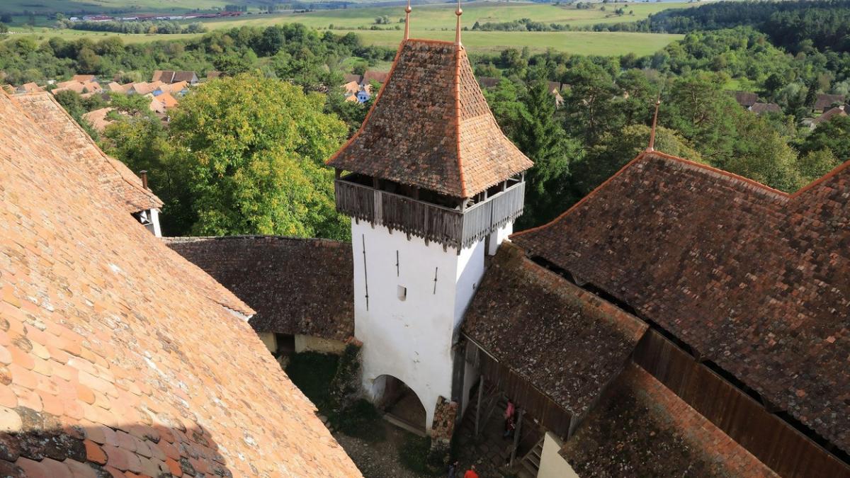 loc romania primarie scoate vanzare terenuri tineri caatoriti