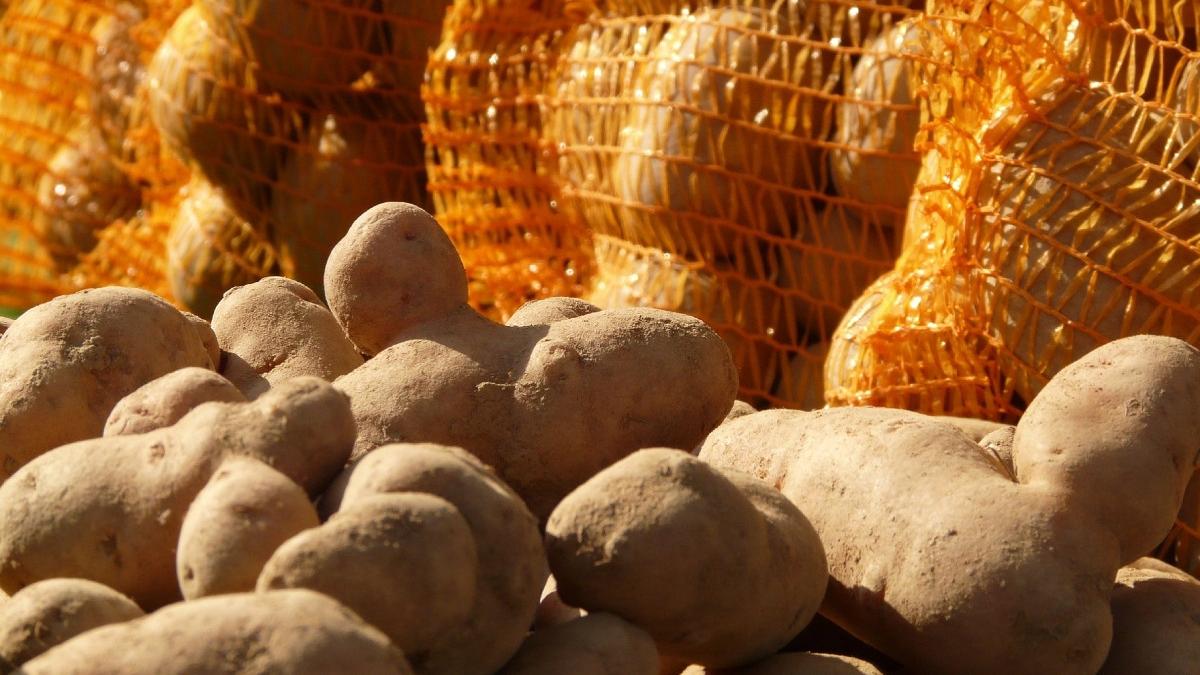 sac de cartofi cu pietre magazin alba