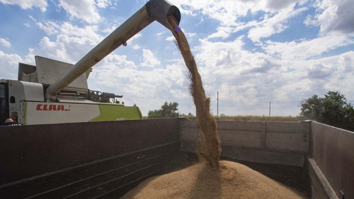 fermieri romani ameninta blocheaza vamile portul constanta
