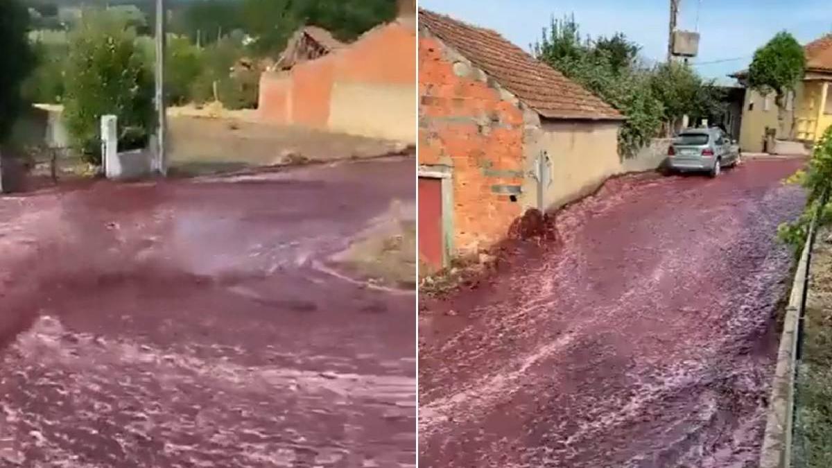 viitura vin rosu oras portugalia subsol casa inundat