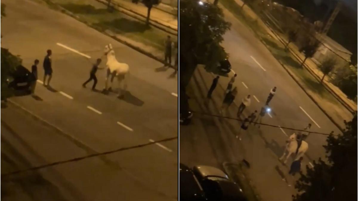 latou filmare western intersectie baia mare