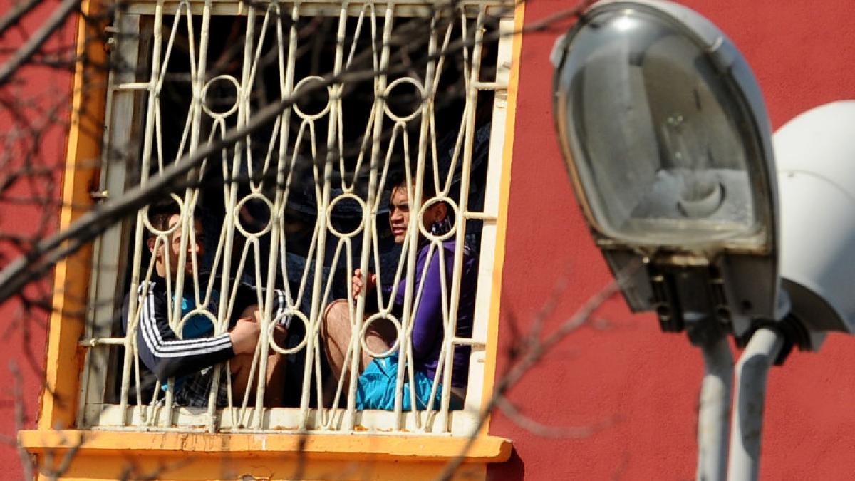 detinuti romania vizite online alina gorghiu