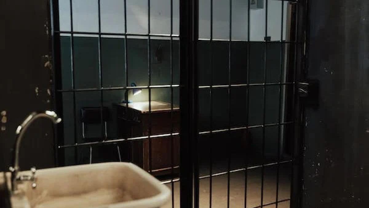 droguri penitenciare alina gorghiu penitenciare droguri