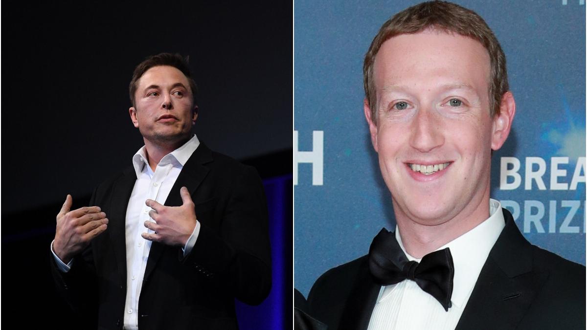 elon musk mark zuckerberg reglementari inteligenta artificiala