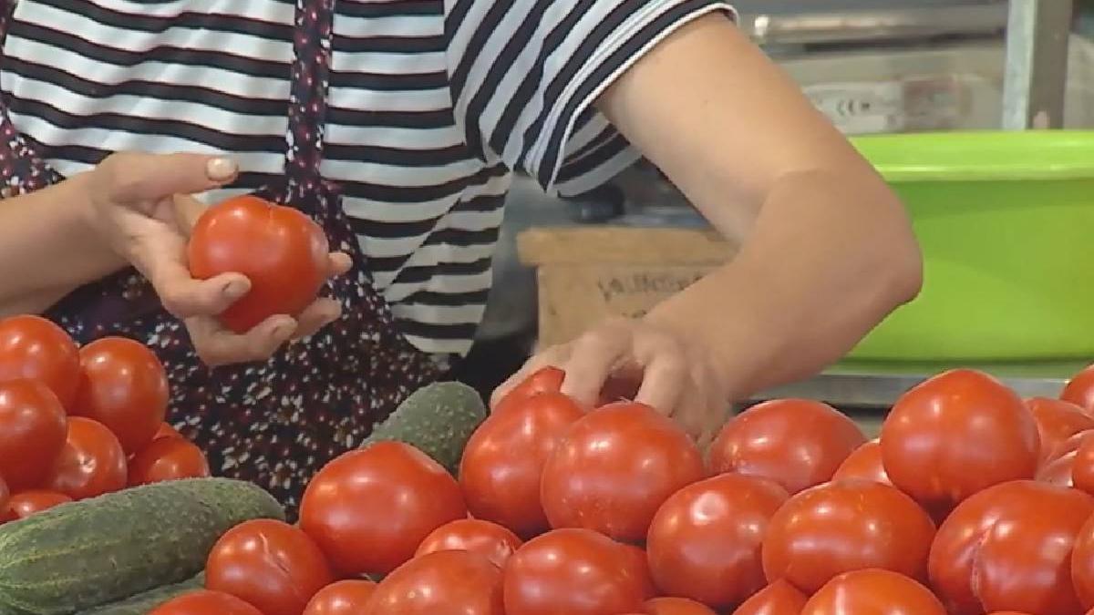 fermieri romani ministrul agriculturii program tomata