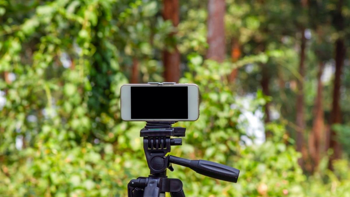 tanar sinucidere padure iasi moarte filmata