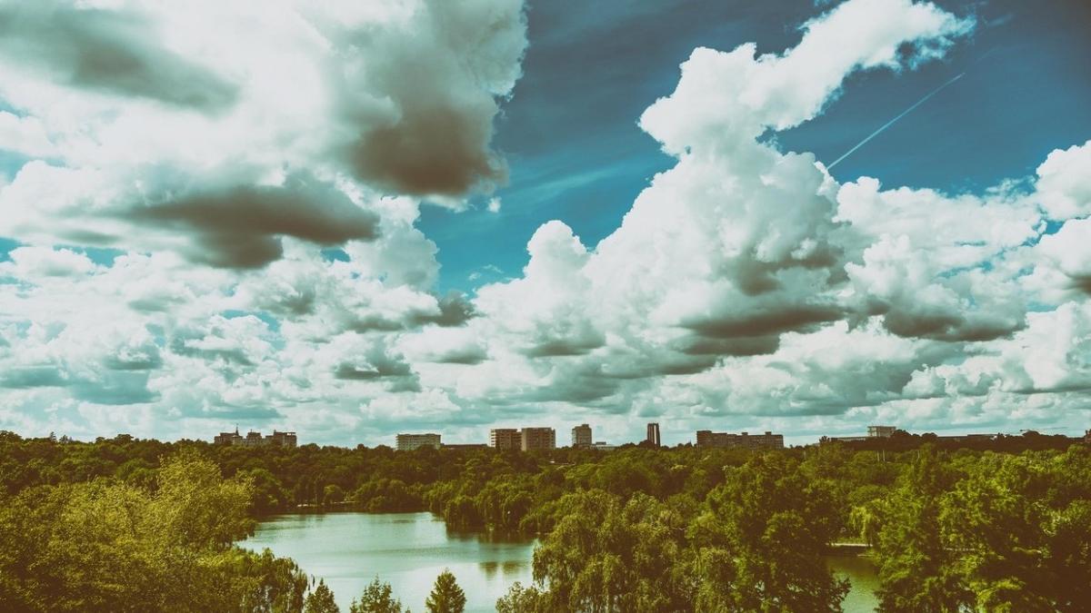 ploi vijelii bucuresti 16 septembrie 2023