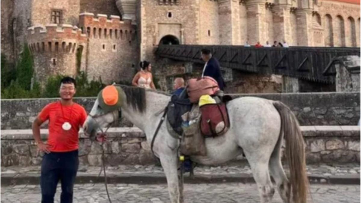 experienta chinez cal romania hunedoara