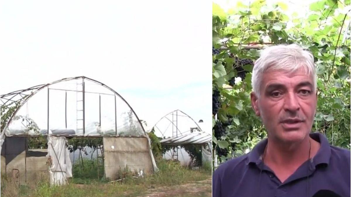 idee inovatoare roman afacere succes plesoiu kilogram vinde 25 lei piete