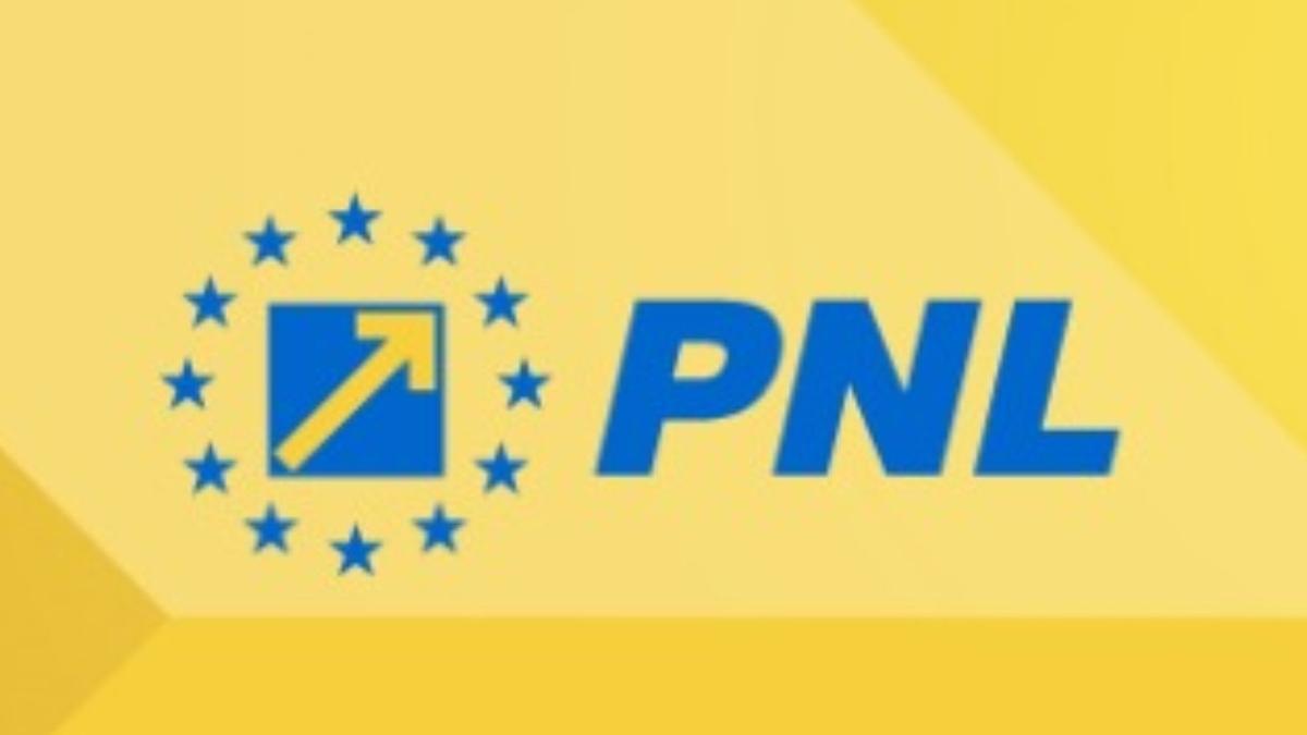 pnl solutii reducerea deficitului bugetar protejarea firme angajati romania