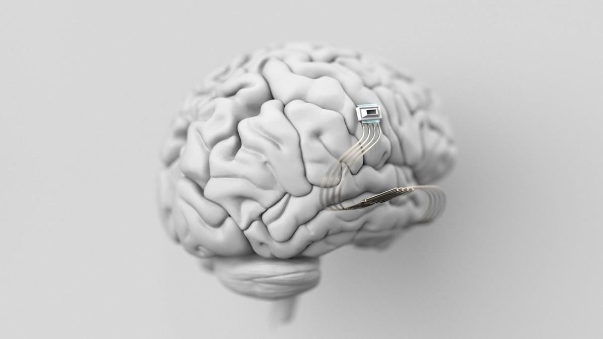 neuralink recruteaza persoane dizabilitati grave testare cipuri creier