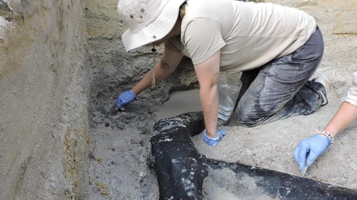 a fost descoperita cea mai veche structura de lemn jumatate milion ani