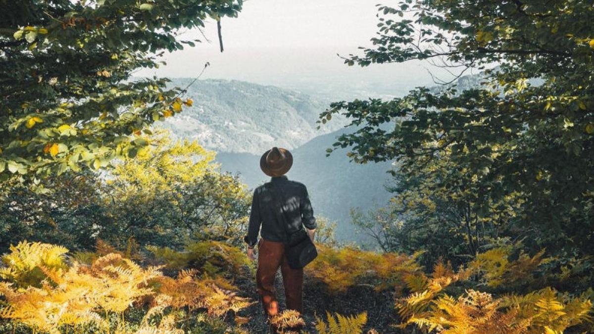 martijn doolaard cabane munti alpi