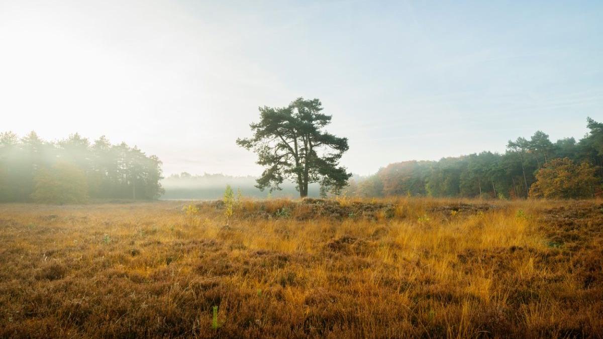 prognoza meteo patru saptamani vremea