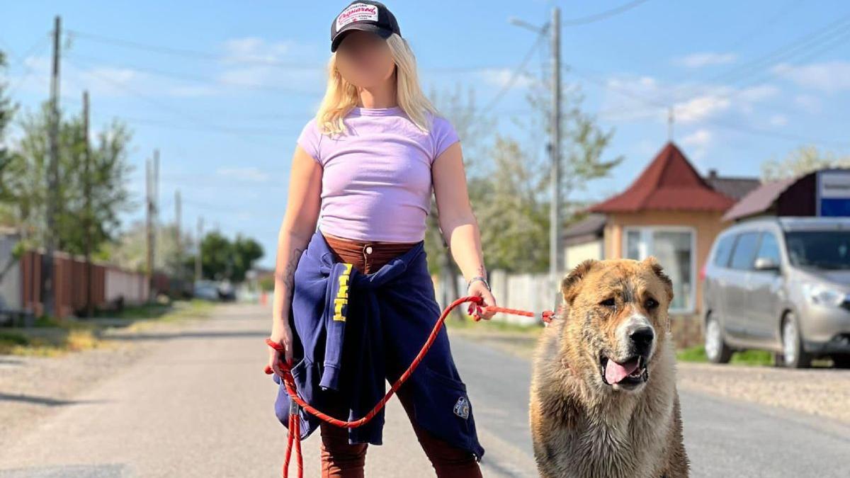 camelia tanara mamica moarta masina focsani