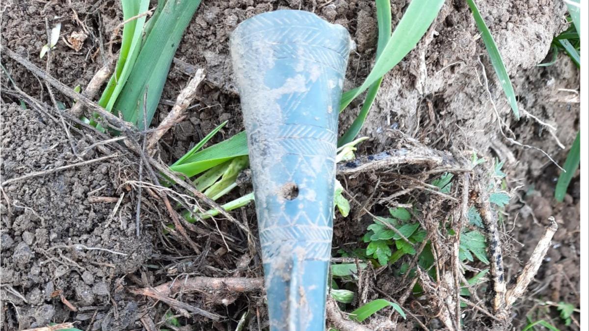 descoperire arhelogica jandarm teleorman