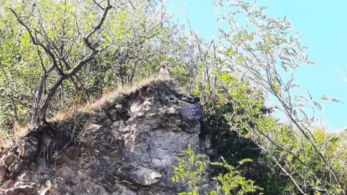 pompieri arad caine blocat stanca