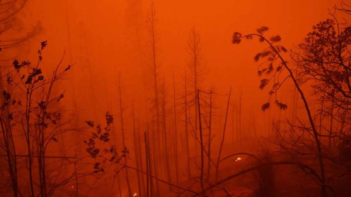 sfarsitul lumii continentele se vor uni pangea ultima oameni animale vor disparea