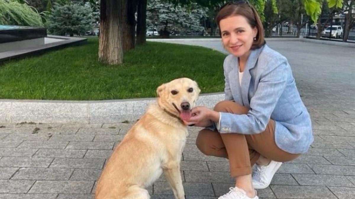 maia sandu presedintie republica moldova caine codrut