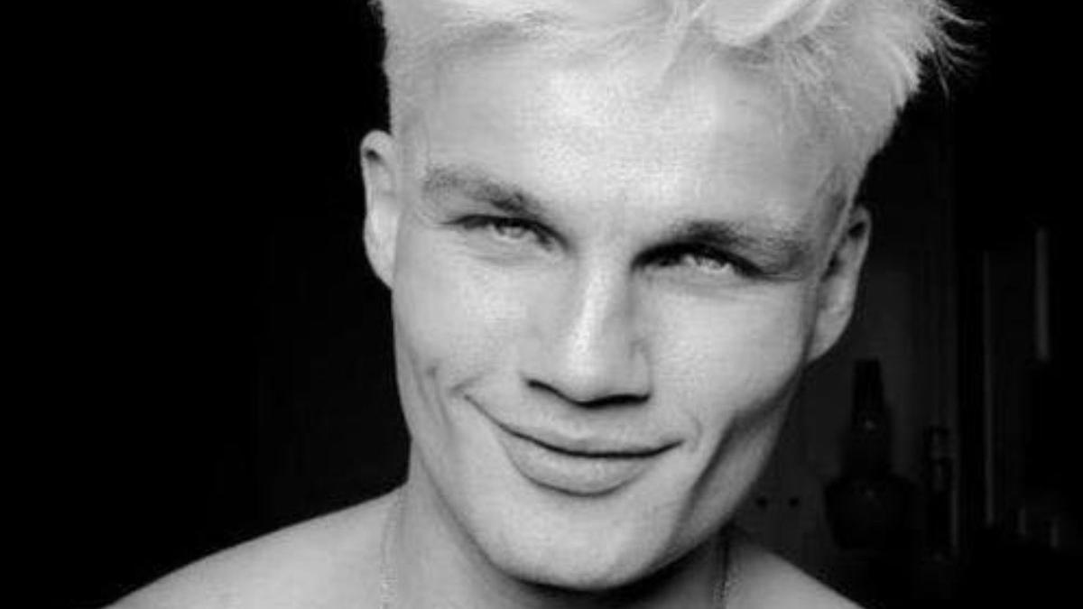 andre birleanu model arestat bucuresti tanara viol