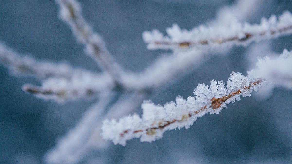 vremea iarna 2023 2024 prognoza meteo