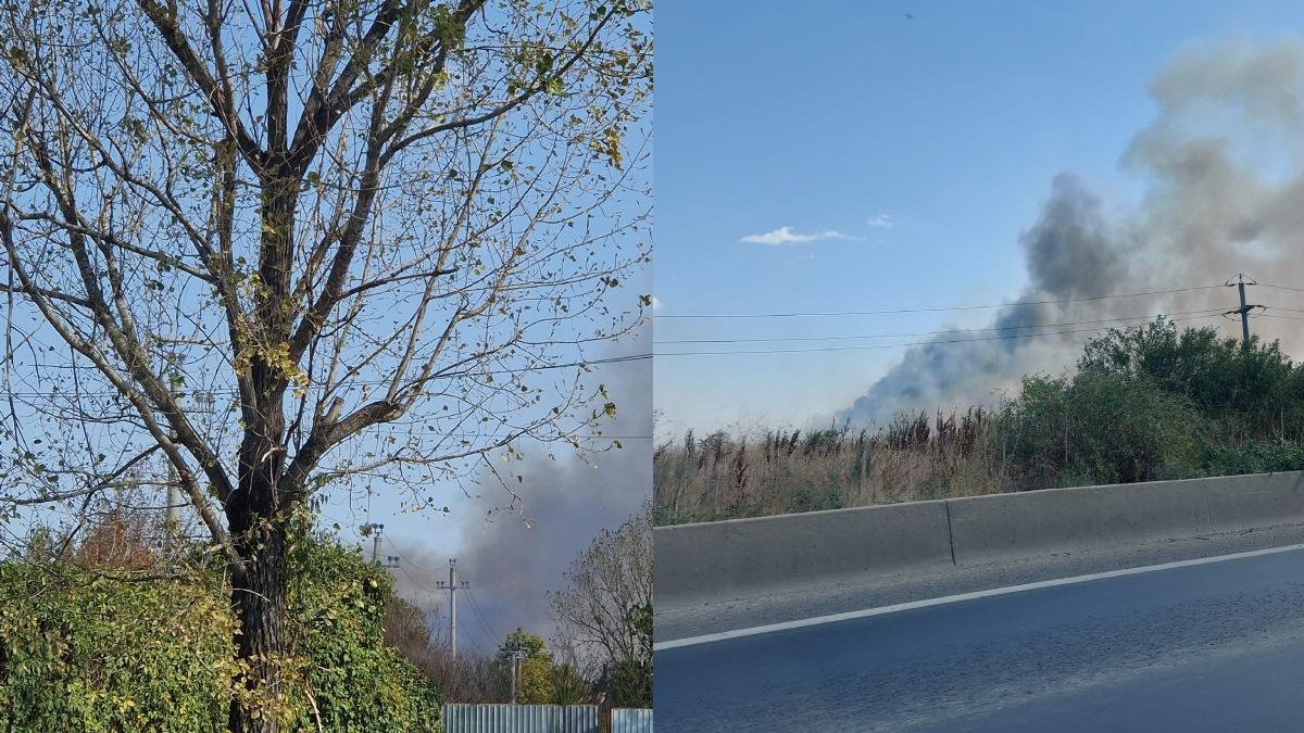 incendiu bucuresti flacari hectar vegetatie