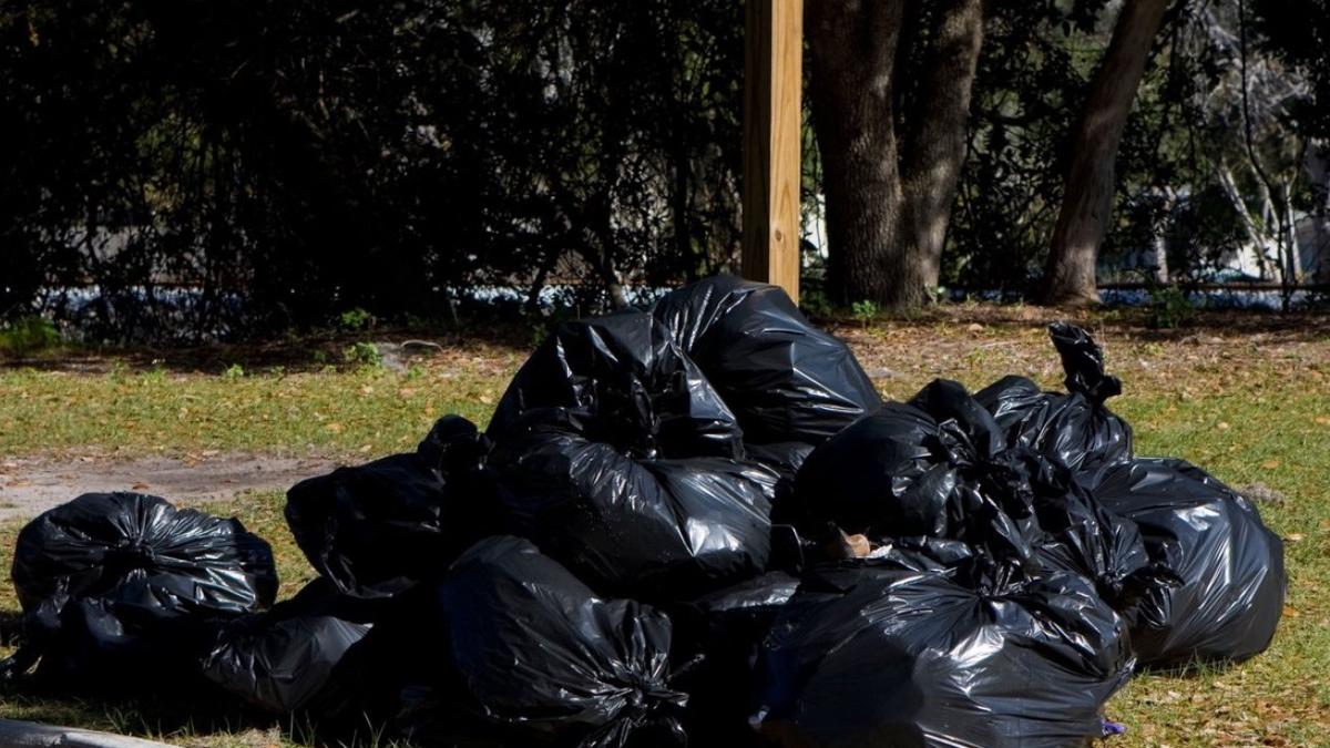 barbat lasat fara masina amendat 10 000 lei aruncat saci gunoi padure ploiesti