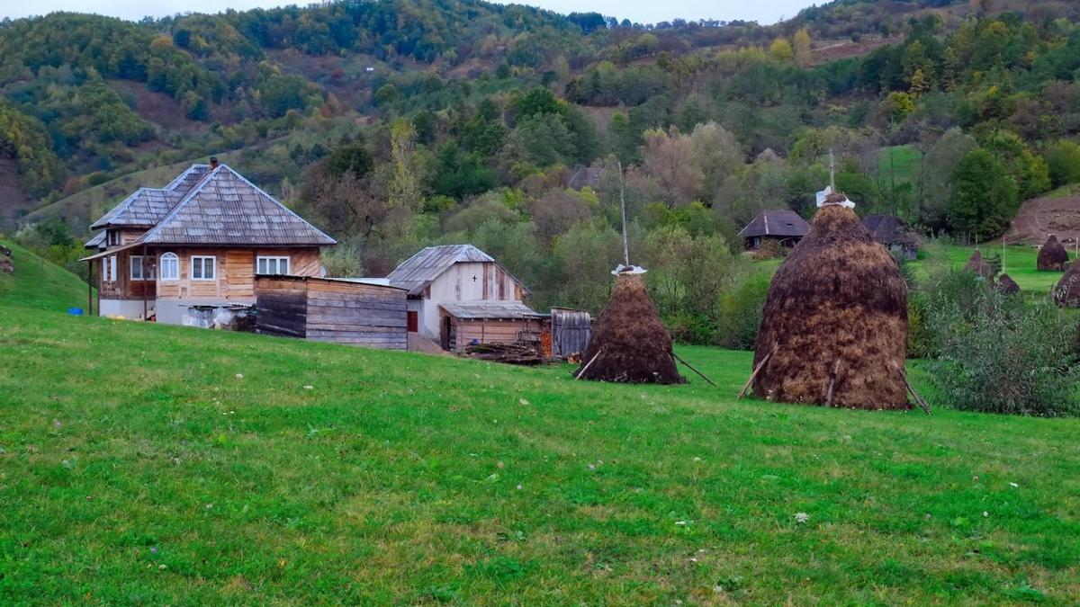 ministrul dezvoltarii adrian vestea contracte investitii infrastructura