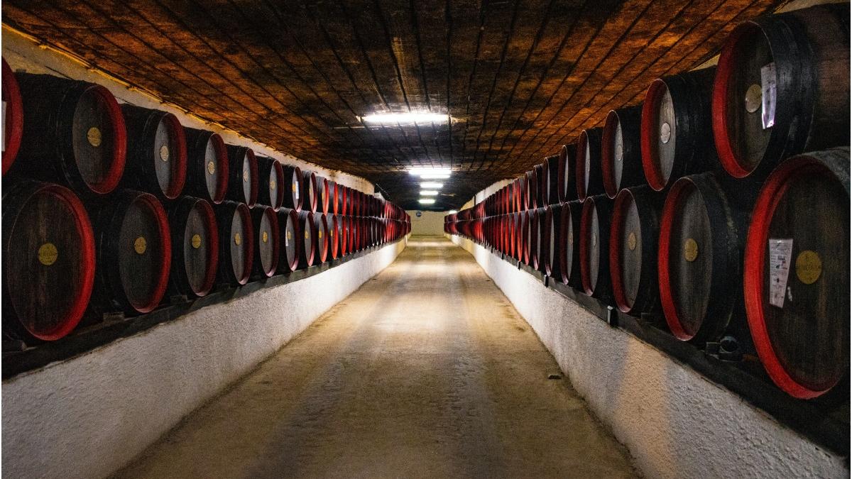 barbati morti spania crama