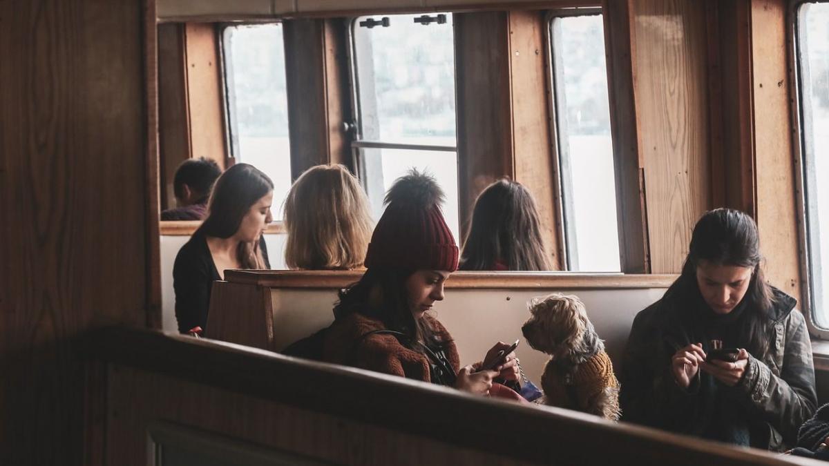 bilet animale tren cfr