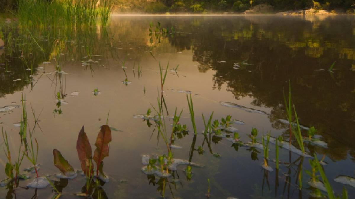 descoperire macabra buzau cadavru barbat gasit rau