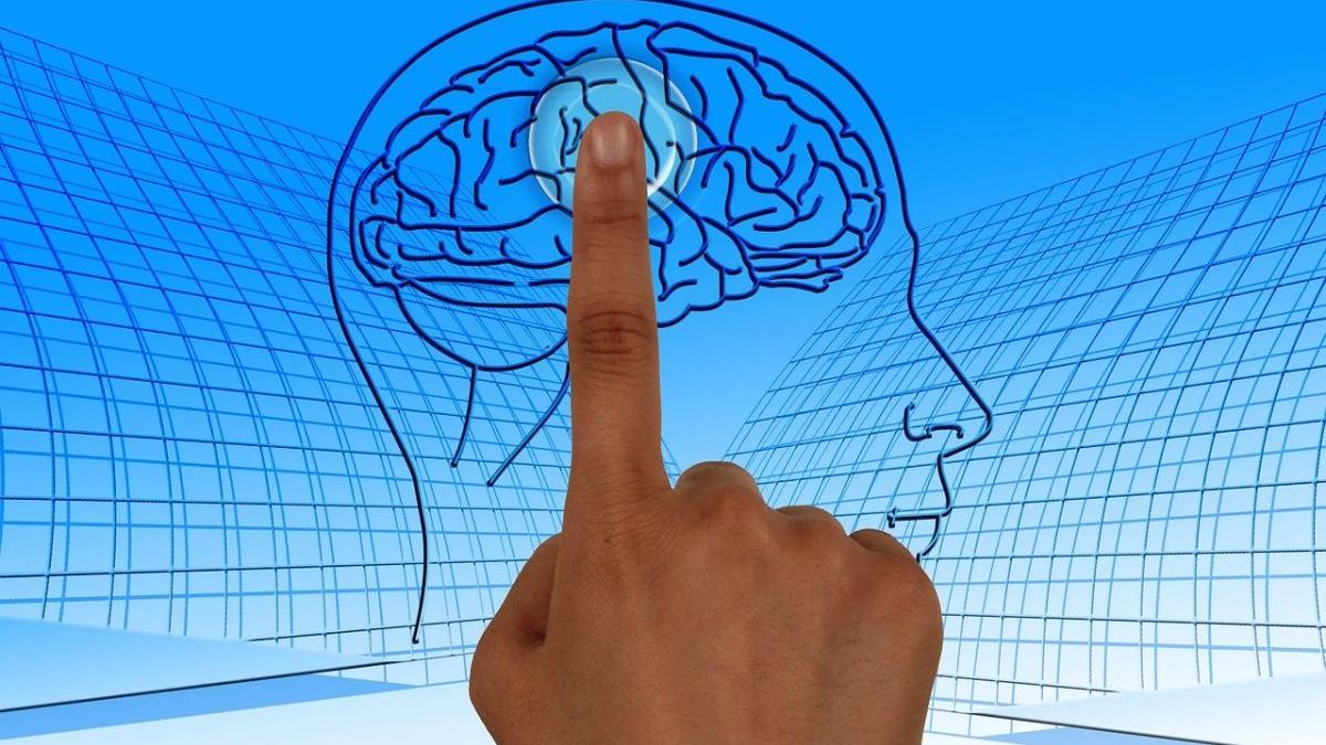 facultate bucuresti 36 candidati loc angajare oriunde