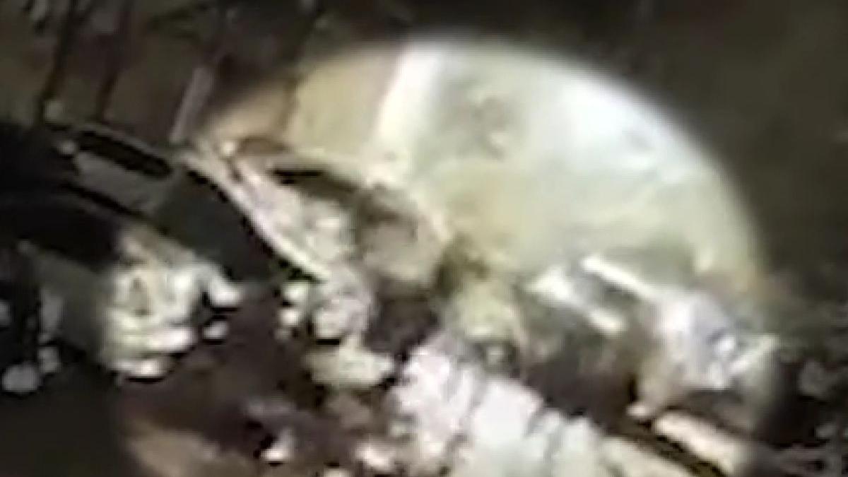 film integral eduard giosu arestare camere de supraveghere