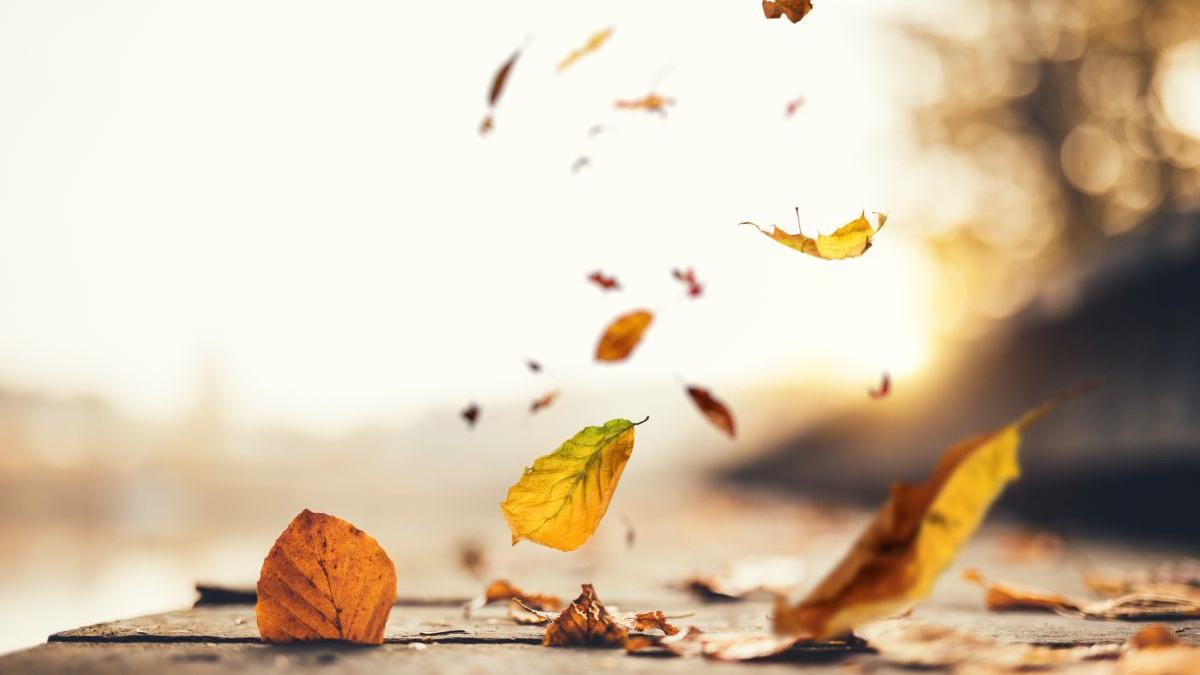 prognoza meteo 4 saptamani vremea