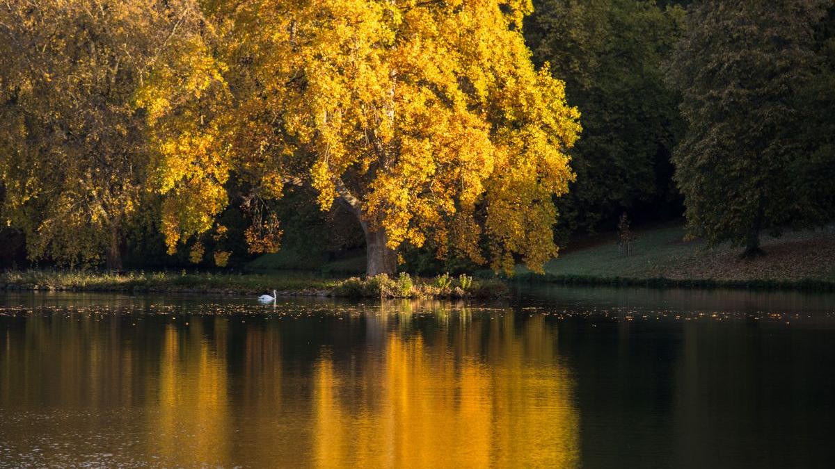 anm prognoza meteo weekend bucuresti