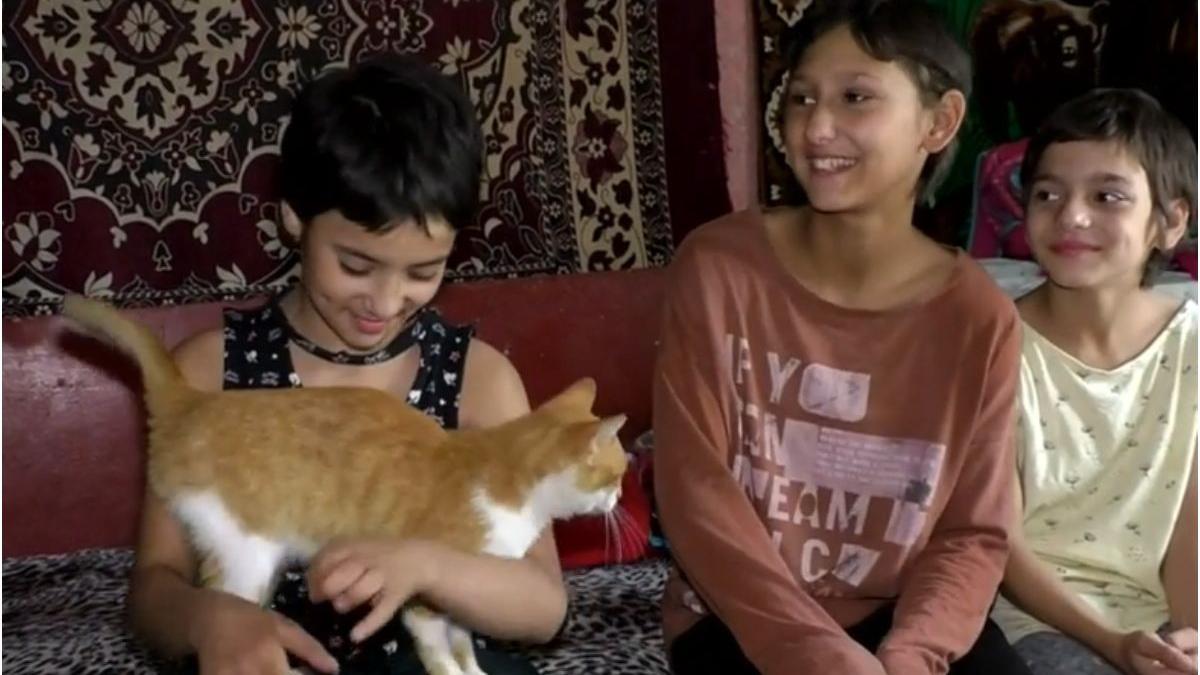 familia rujoiu lumnic mehedinti sase copii traieste alocatii