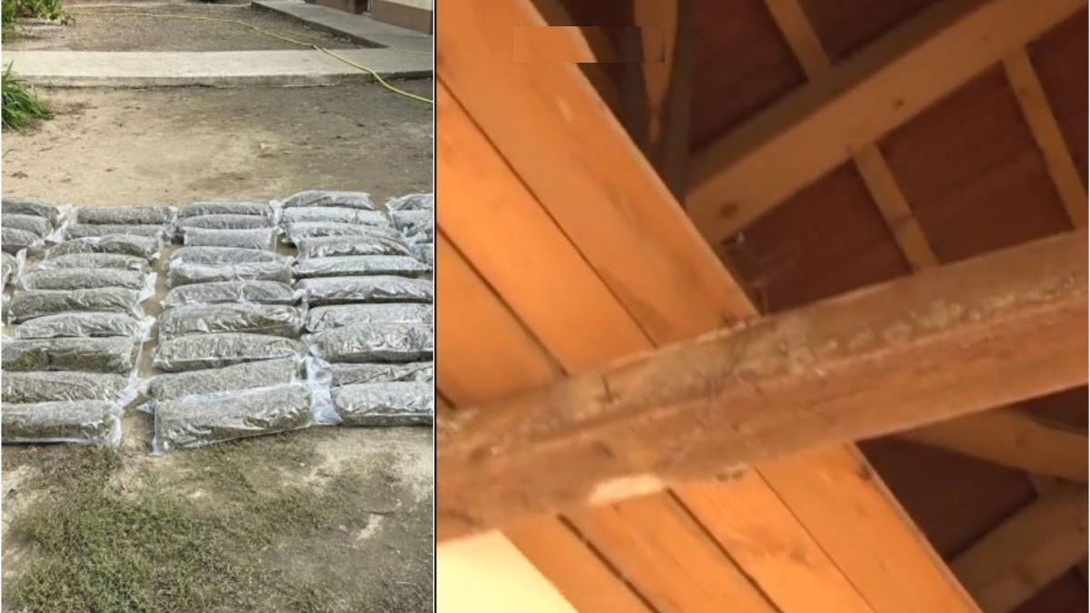 imagini exclusive fabrica droguri timis