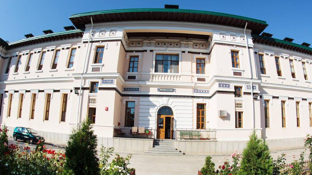 institutul socola organizat hub de promovare sanatate mintala