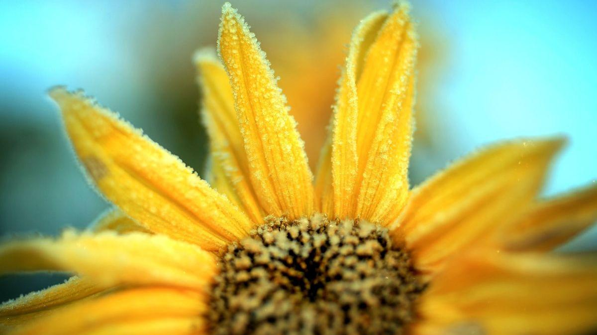 prognoza anm doua saptamani vremea 9 22 octombrie