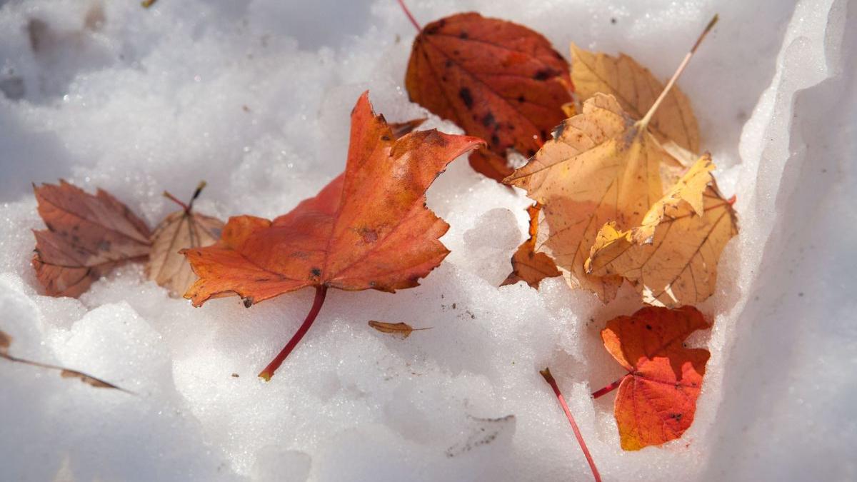 prognoza meteo vremea frig