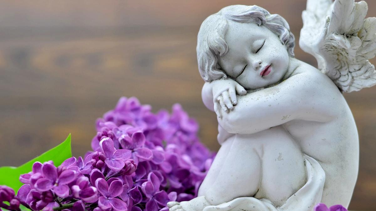 laura vicol deputat psd proiect de lege sprijin parinti pierdere copil sarcina